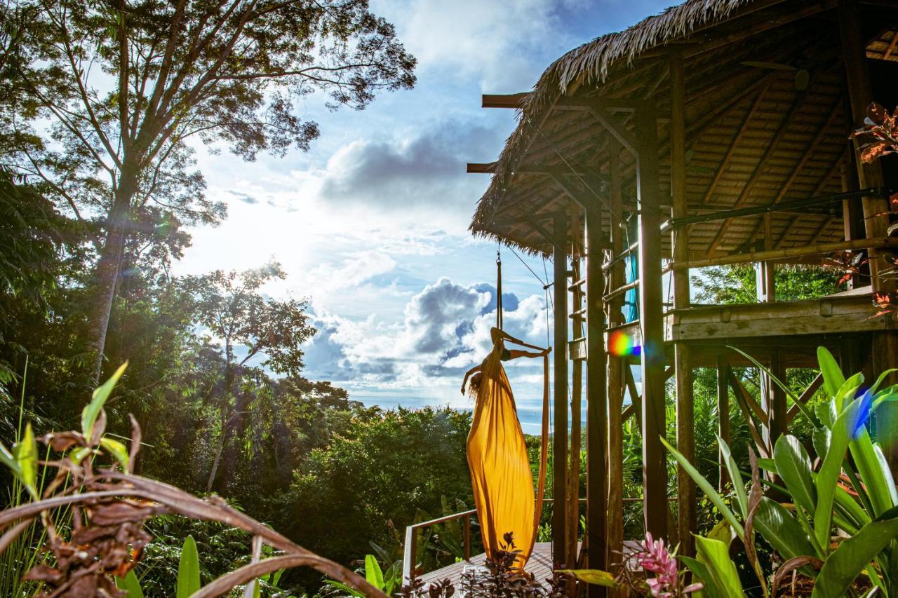 Selva Armonia Immersive Jungle Resort อูวีตา ภายนอก รูปภาพ